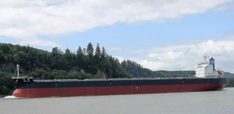 PESCADORES SW Bulk Carrier IMO 9512343 photo 3