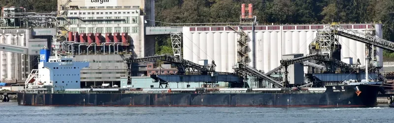PESCADORES SW Bulk Carrier IMO 9512343 photo 6