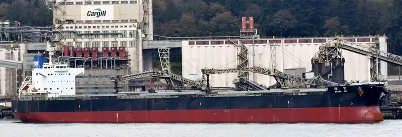 PESCADORES SW Bulk Carrier IMO 9512343 photo 7