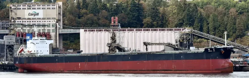 PESCADORES SW Bulk Carrier IMO 9512343 photo 8