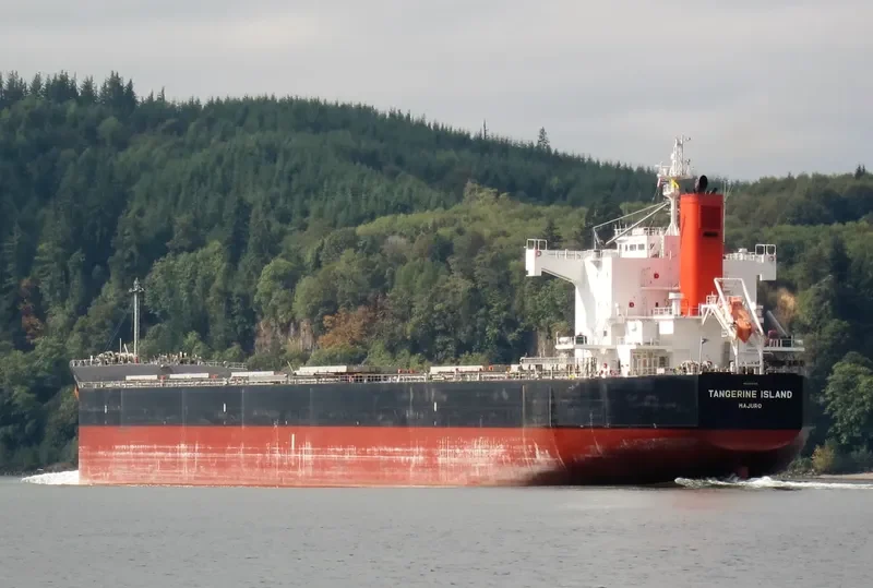 LAAX Bulk Carrier IMO 9512355 photo 2