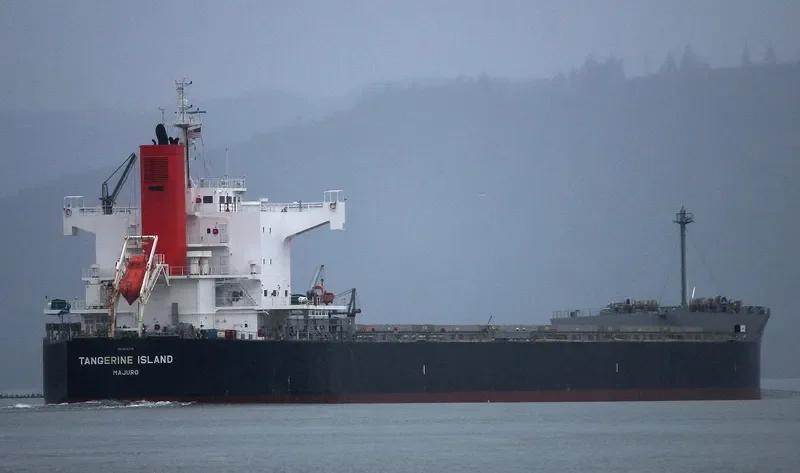 LAAX Bulk Carrier IMO 9512355 photo 5
