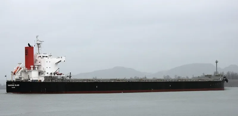 LAAX Bulk Carrier IMO 9512355 photo 6