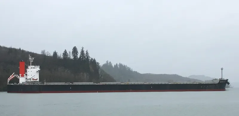 LAAX Bulk Carrier IMO 9512355 photo 7