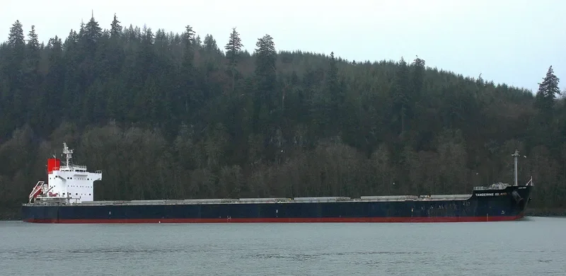 LAAX Bulk Carrier IMO 9512355 photo 8