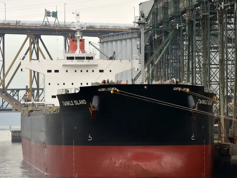 TWINKLE ISLAND Bulk Carrier IMO 9512367