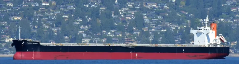 TWINKLE ISLAND Bulk Carrier IMO 9512367 photo 3