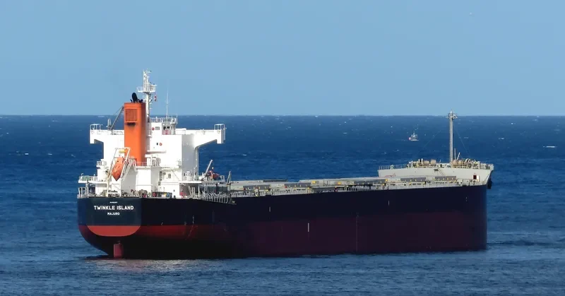 TWINKLE ISLAND Bulk Carrier IMO 9512367 photo 5