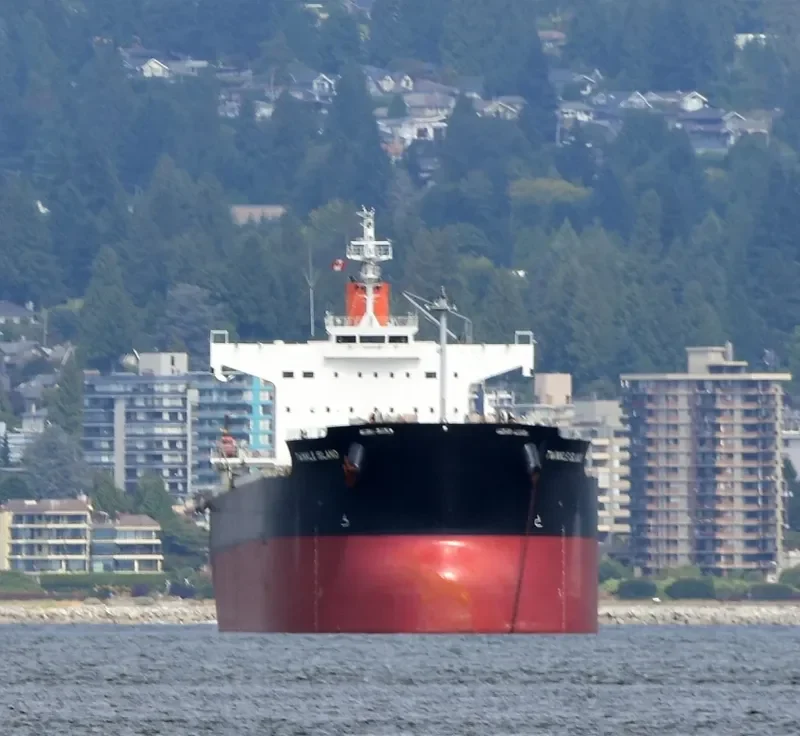 TWINKLE ISLAND Bulk Carrier IMO 9512367 photo 7