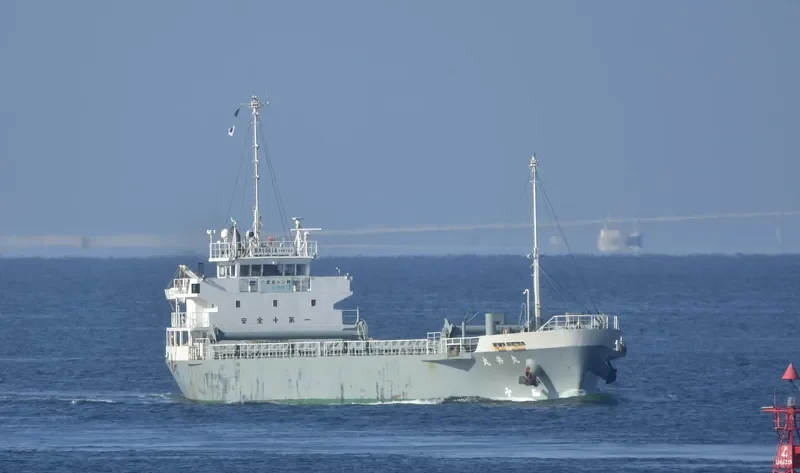 MARUI MARU General Cargo IMO 9512446 photo 3