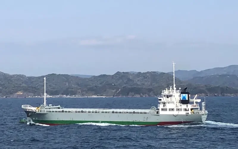 MARUI MARU General Cargo IMO 9512446 photo 6