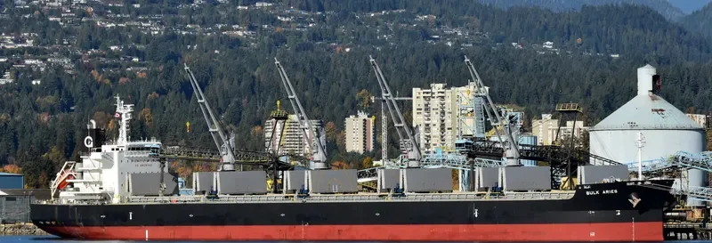 BULK ARIES Bulk Carrier IMO 9512630 photo 2