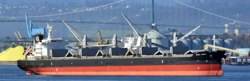 BULK ARIES Bulk Carrier IMO 9512630 photo 4