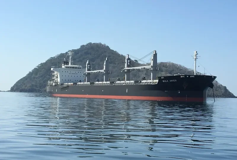 BULK ARIES Bulk Carrier IMO 9512630 photo 7