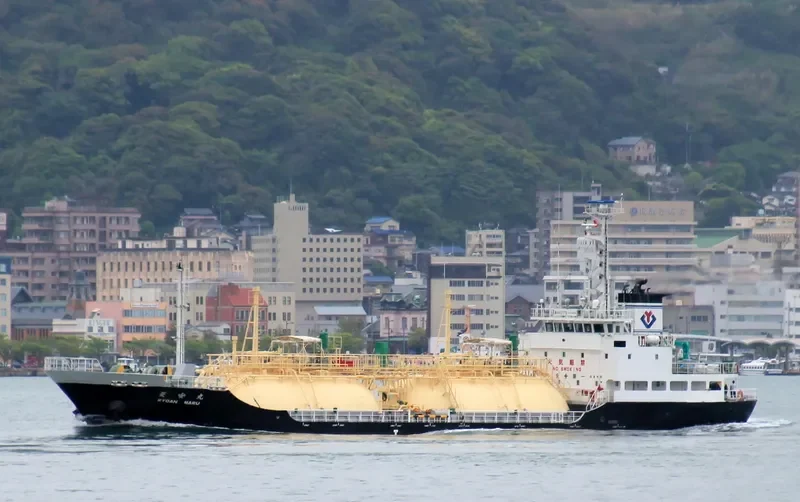RYOAN MARU General Cargo IMO 9512886 photo 4