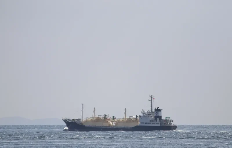 RYOAN MARU General Cargo IMO 9512886 photo 7