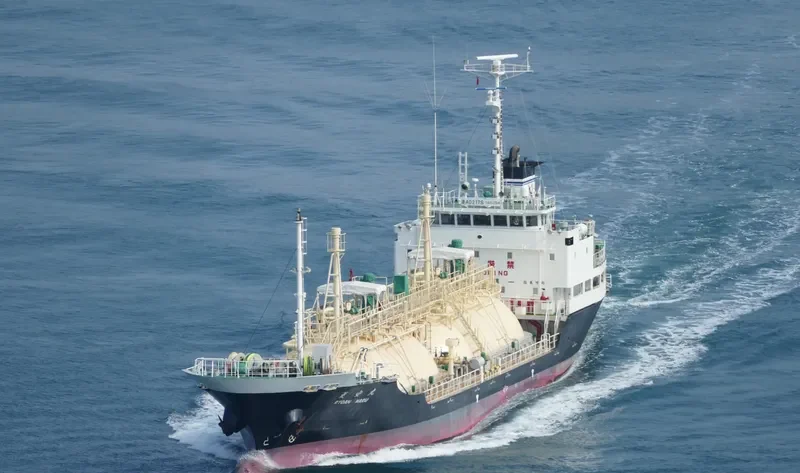RYOAN MARU General Cargo IMO 9512886 photo 8
