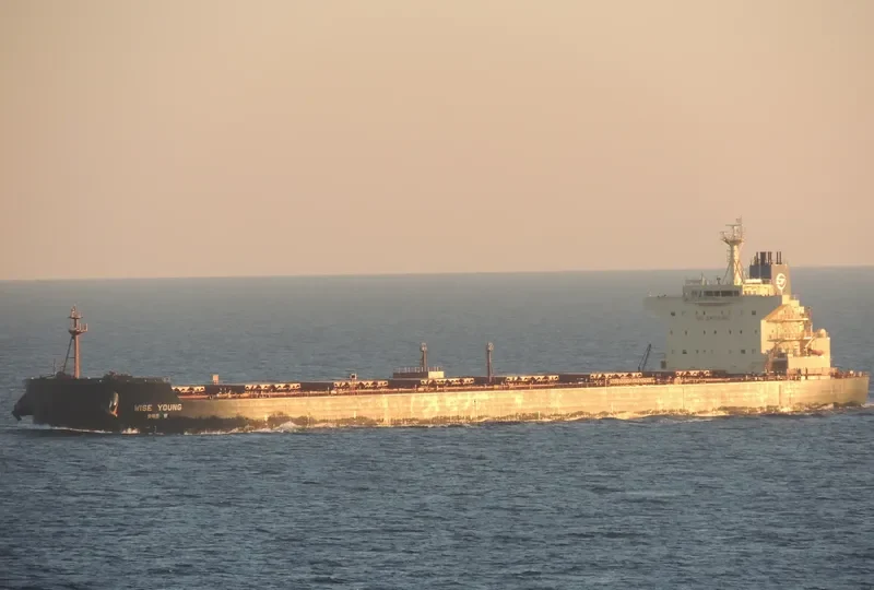 HERMES I Bulk Carrier IMO 9512898