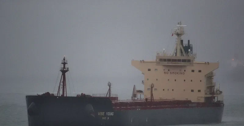 HERMES I Bulk Carrier IMO 9512898 photo 3