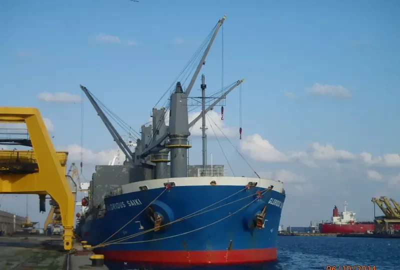 SUNNY SANDRA Bulk Carrier IMO 9512903 photo 3