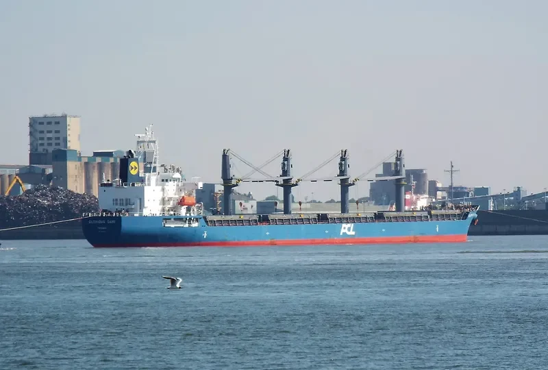 SUNNY SANDRA Bulk Carrier IMO 9512903 photo 4