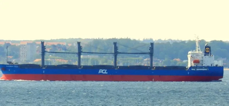 SUNNY SANDRA Bulk Carrier IMO 9512903 photo 7