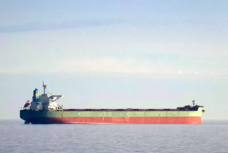 MOUNT HEDLAND Bulk Carrier IMO 9512939