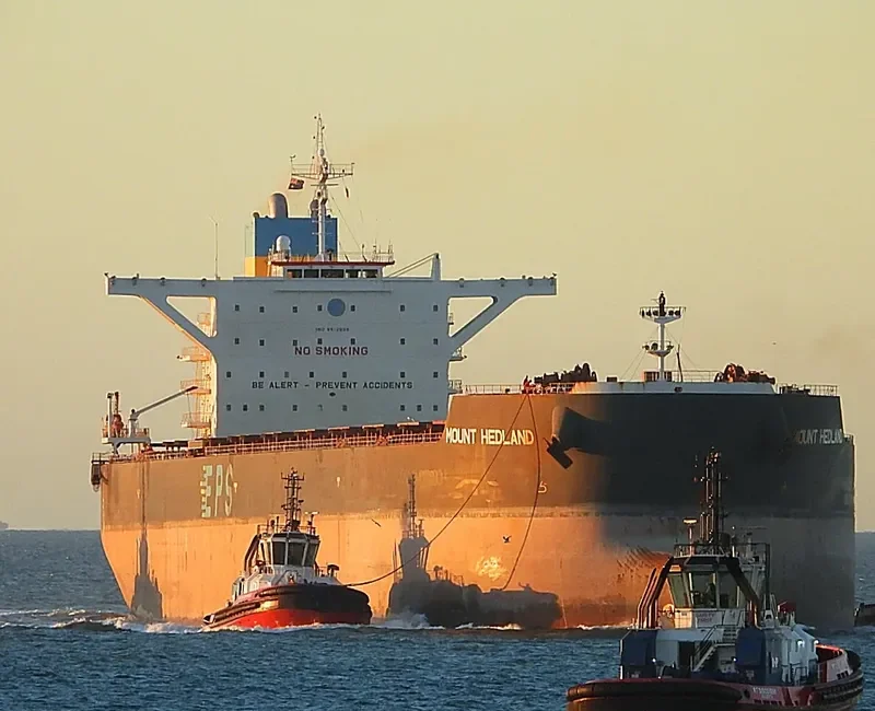 MOUNT HEDLAND Bulk Carrier IMO 9512939 photo 9