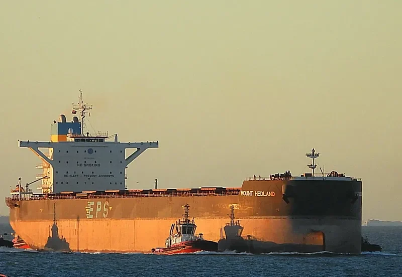 MOUNT HEDLAND Bulk Carrier IMO 9512939 photo 10