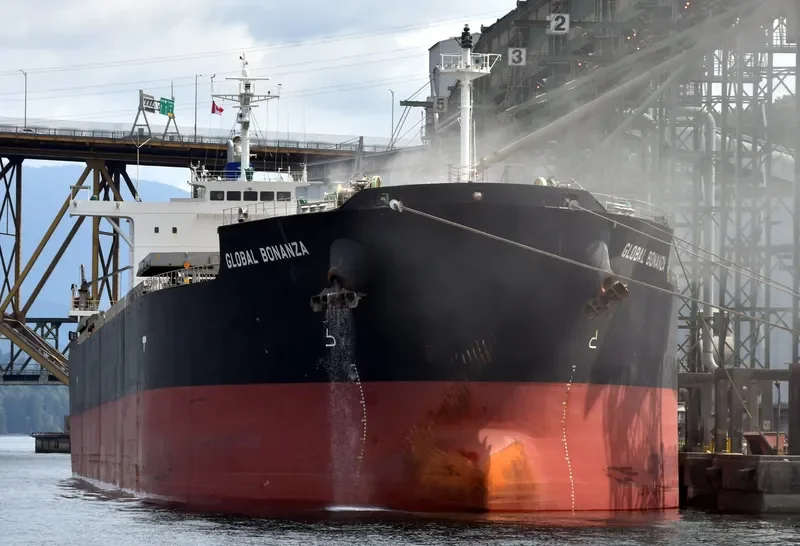 GLOBAL BONANZA Bulk Carrier IMO 9512941 photo 4