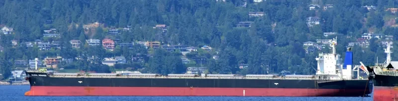 GLOBAL BONANZA Bulk Carrier IMO 9512941 photo 6