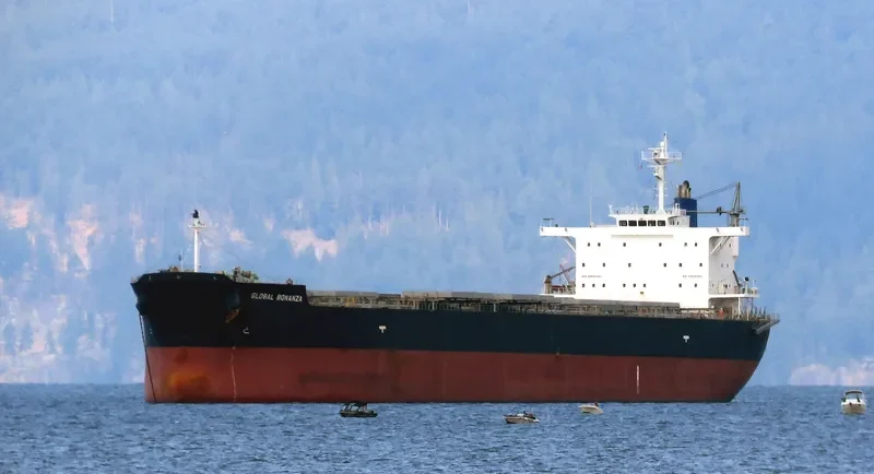 GLOBAL BONANZA Bulk Carrier IMO 9512941 photo 7