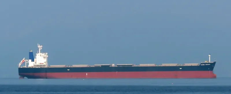 GLOBAL BONANZA Bulk Carrier IMO 9512941 photo 9