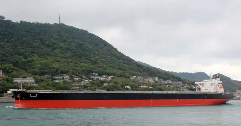 SHIRARA Bulk Carrier IMO 9513816 photo 3