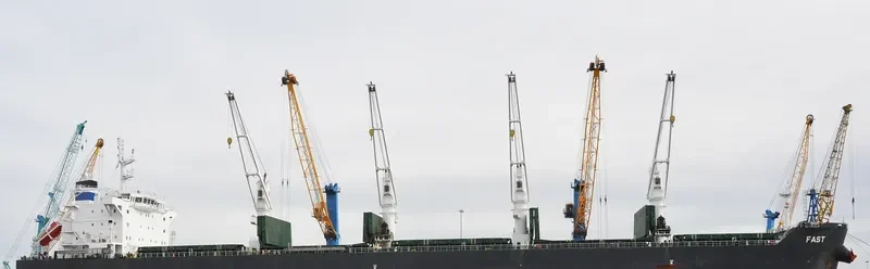 FAST Bulk Carrier IMO 9513842 photo 5
