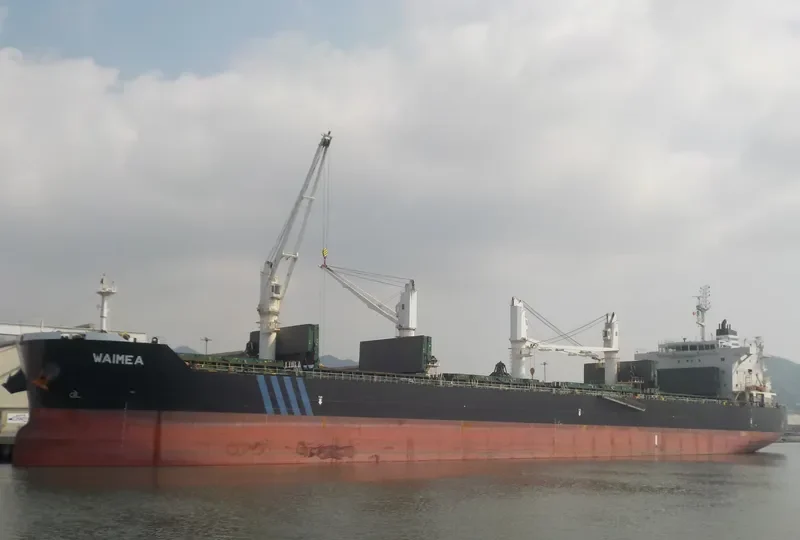 WAIMEA Bulk Carrier IMO 9513907