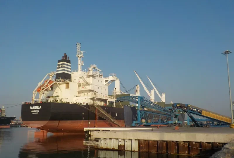 WAIMEA Bulk Carrier IMO 9513907 photo 2