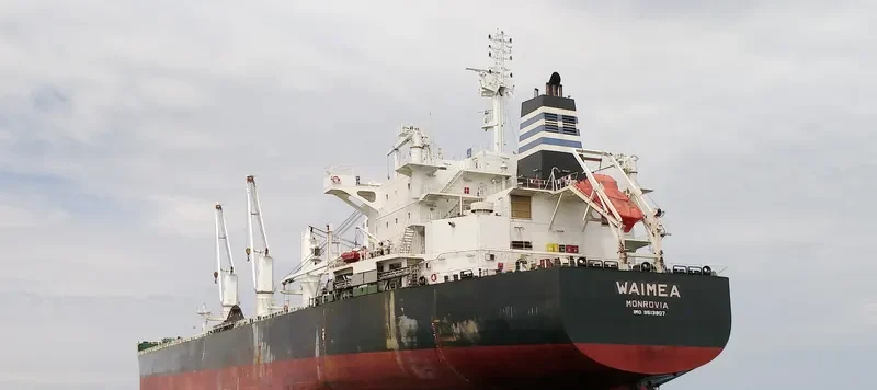 WAIMEA Bulk Carrier IMO 9513907 photo 5