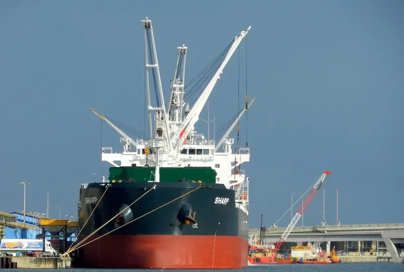 YASA SPARROW Bulk Carrier IMO 9513919 photo 10