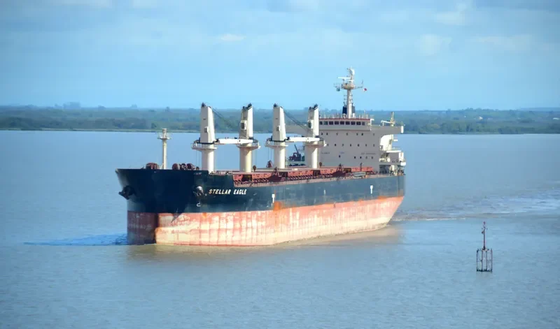 STELLAR EAGLE Bulk Carrier IMO 9514004 photo 4