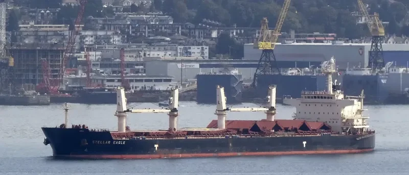 STELLAR EAGLE Bulk Carrier IMO 9514004 photo 7