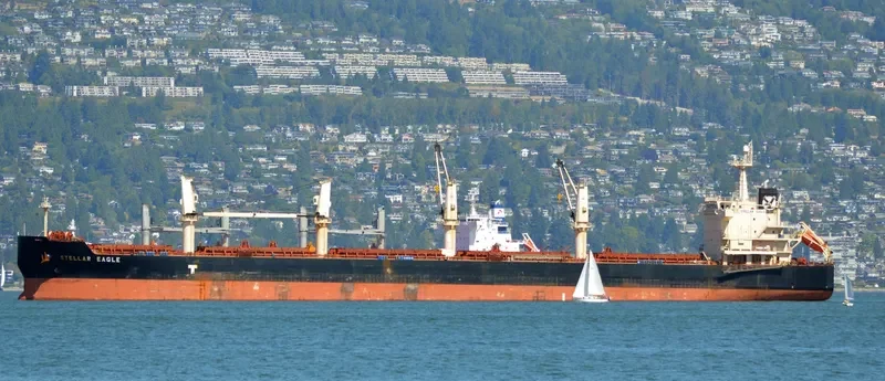 STELLAR EAGLE Bulk Carrier IMO 9514004 photo 10