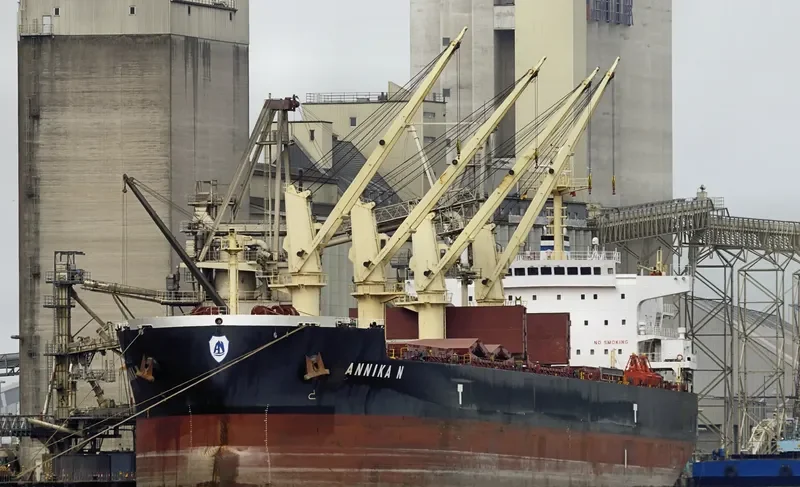 ANNIKA N Bulk Carrier IMO 9514054