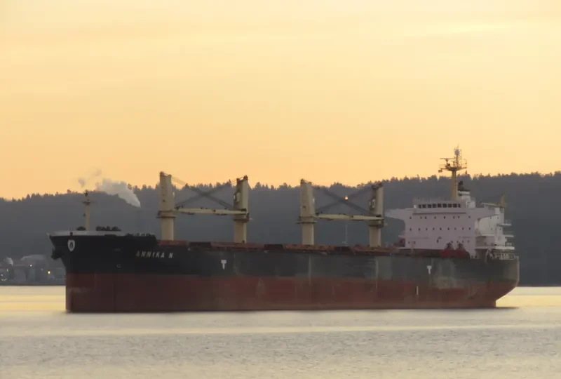 ANNIKA N Bulk Carrier IMO 9514054 photo 2