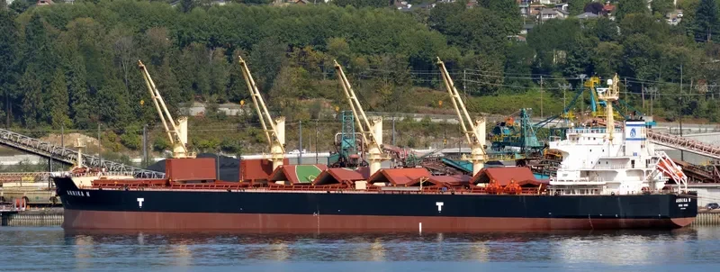 ANNIKA N Bulk Carrier IMO 9514054 photo 4