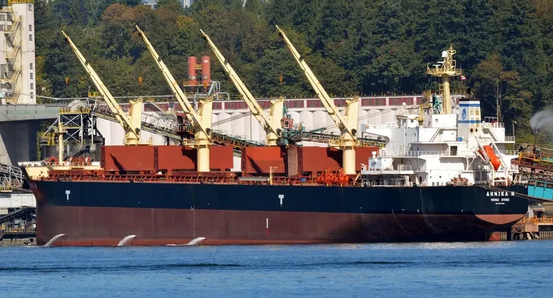 ANNIKA N Bulk Carrier IMO 9514054 photo 6
