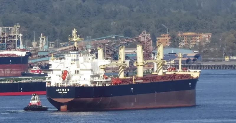 ANNIKA N Bulk Carrier IMO 9514054 photo 7