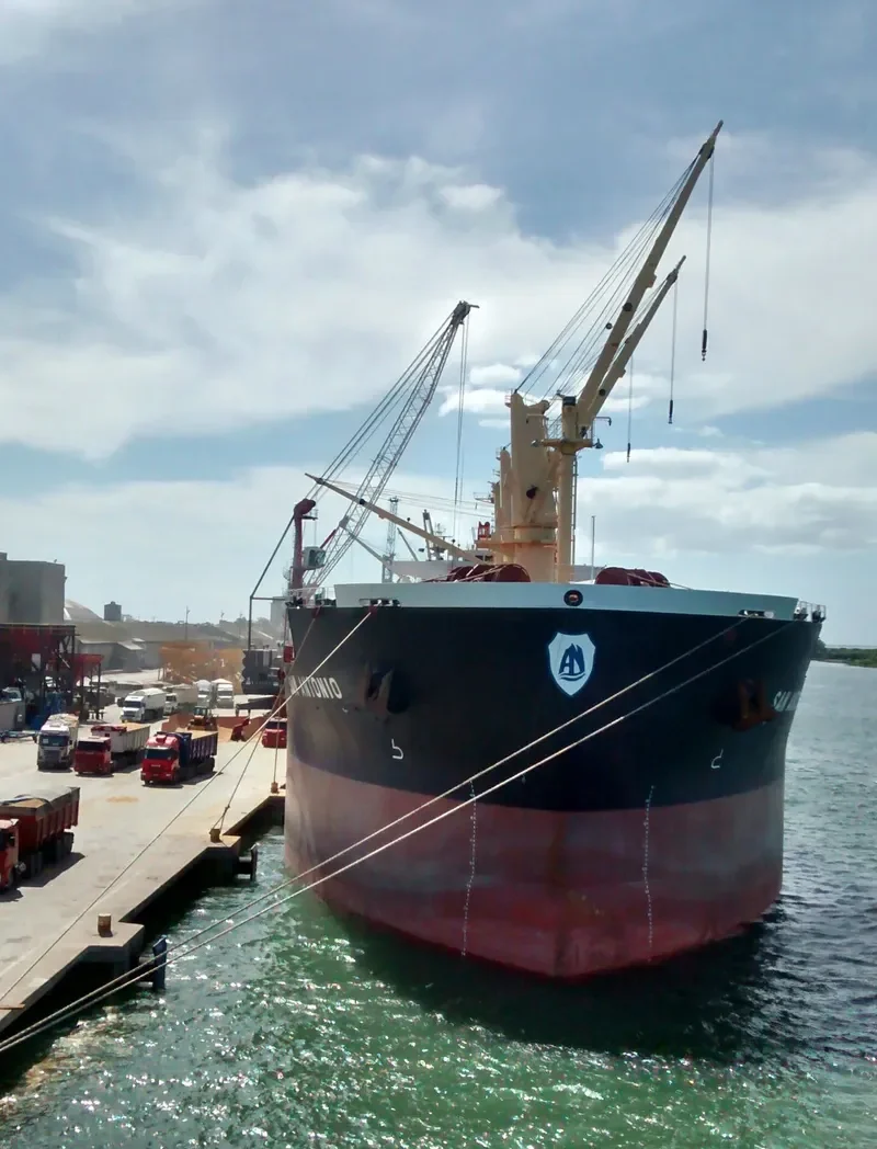 SAN ANTONIO Bulk Carrier IMO 9514066 photo 2