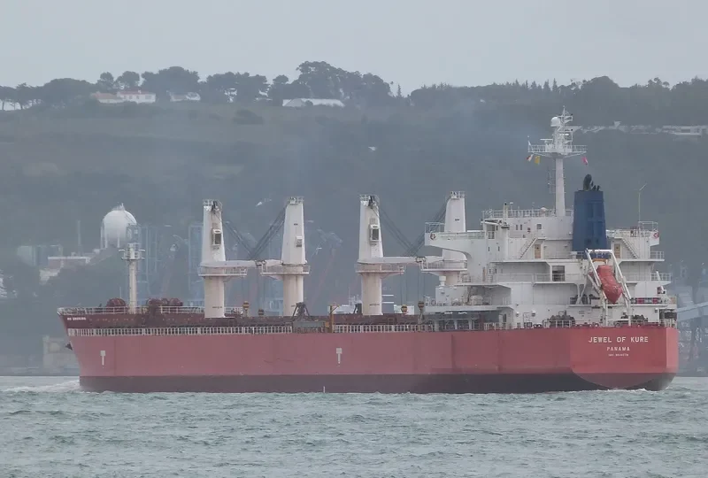 IVY DELTA Bulk Carrier IMO 9514078 photo 4