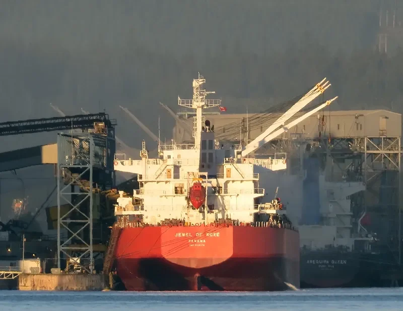 IVY DELTA Bulk Carrier IMO 9514078 photo 6
